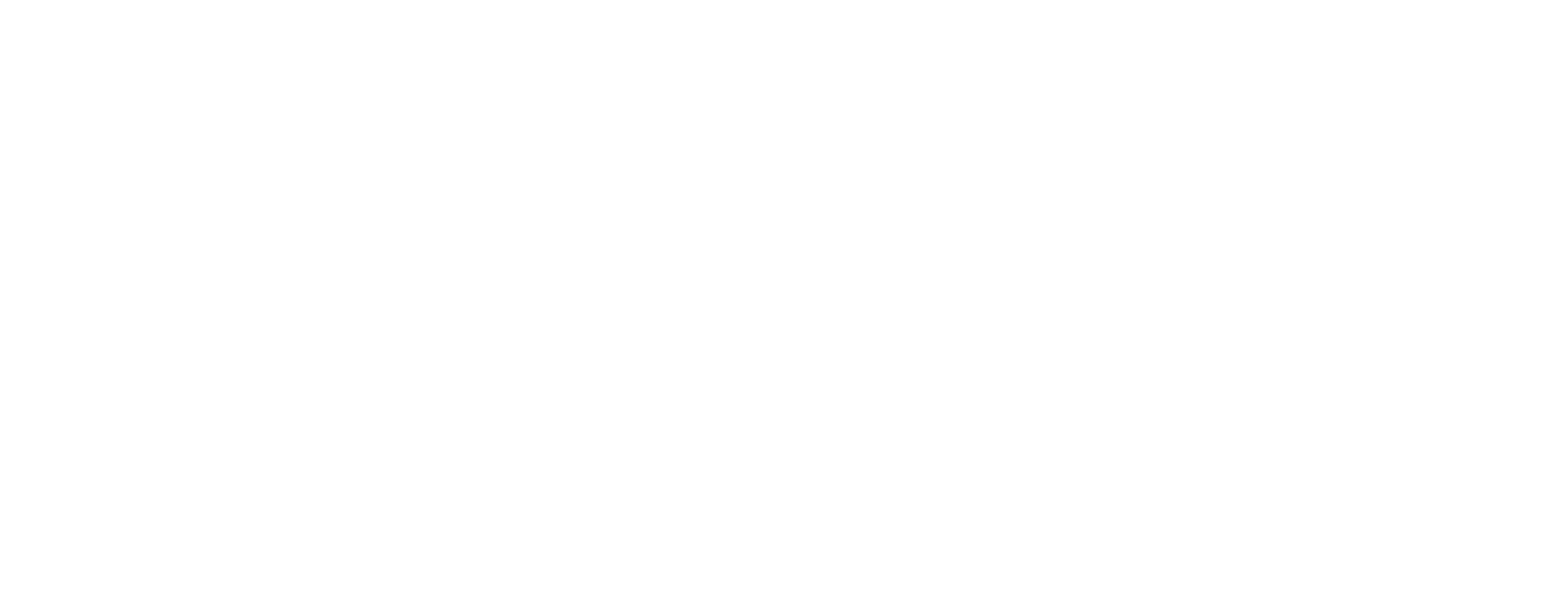 KIS Security